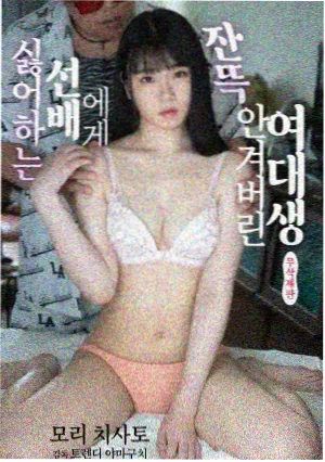 魅魔与魔女之夜